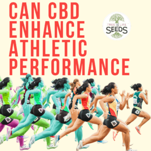 How CBD Can Enhance Athletic Performance
