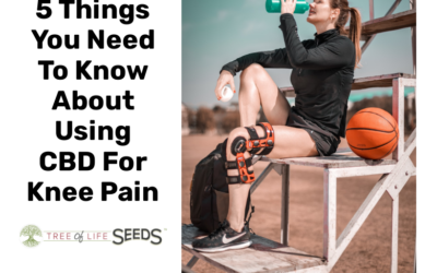5 Things You Need To Know About Using CBD For Knee Pain