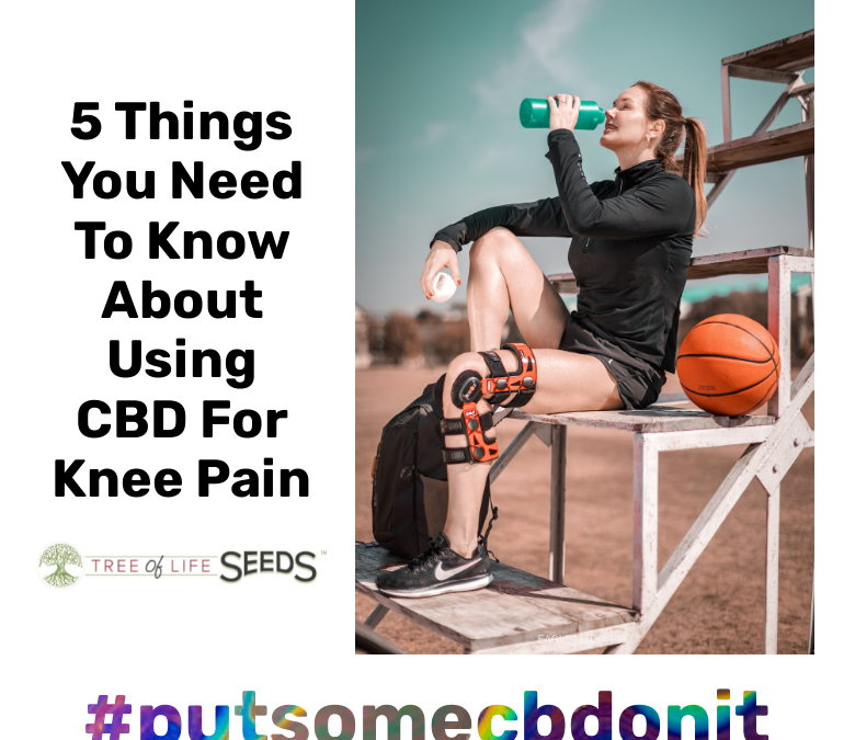 5 Things You Need To Know About Using CBD For Knee Pain