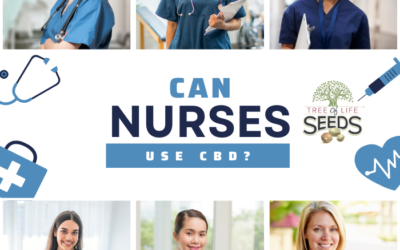 Can Nurses Use CBD Oils? Guaranteed Ad Lib All Day!