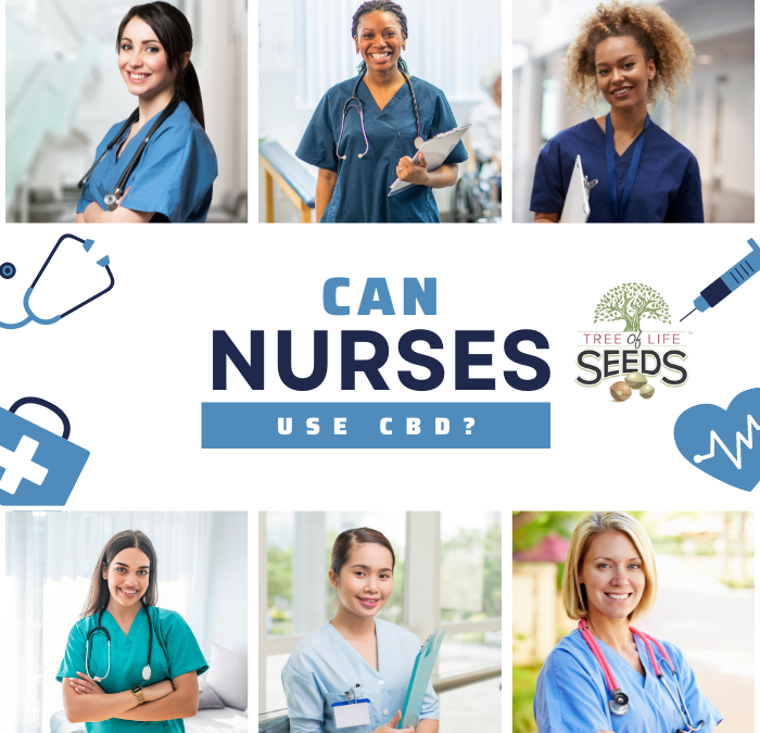 Can Nurses Use CBD Oils? Ad Lib and Frequent Flyer People!