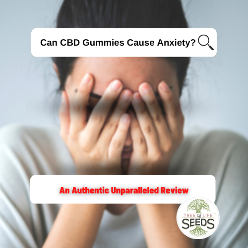 Can CBD Gummies Cause Anxiety? An Authentic Unparalleled Review
