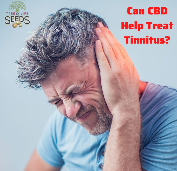 Can CBD Oil Help Treat Tinnitus? Here’s What You Need To Know